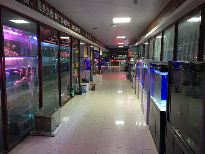 卉丰源花鸟古玩博览中心