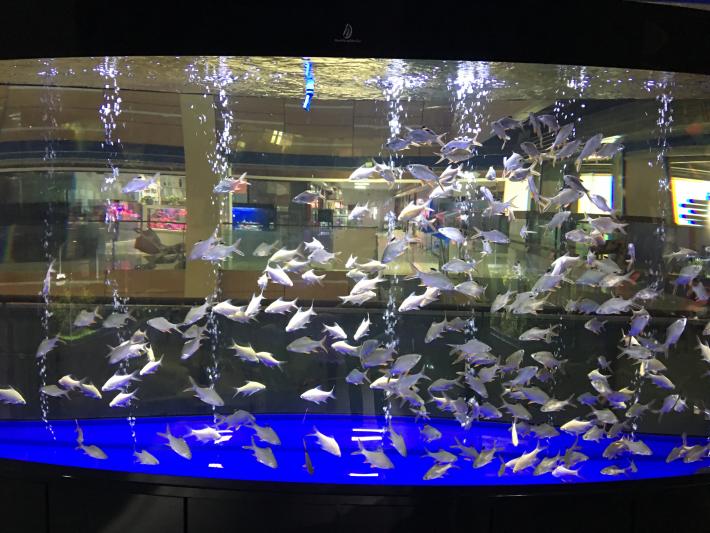 卉丰源花鸟古玩博览中心