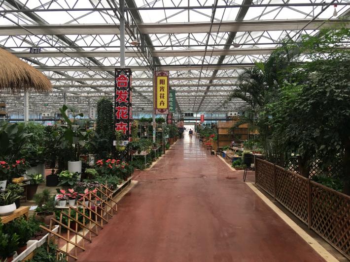 卉丰源花鸟古玩博览中心