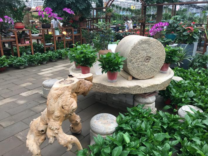 卉丰源花鸟古玩博览中心