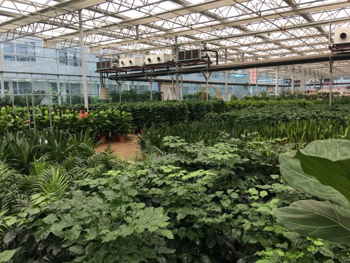 卉丰源花鸟古玩博览中心