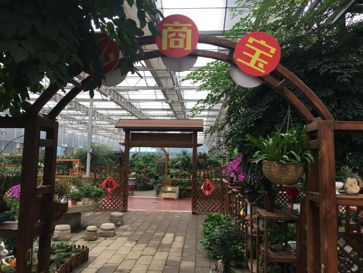 卉丰源花鸟古玩博览中心